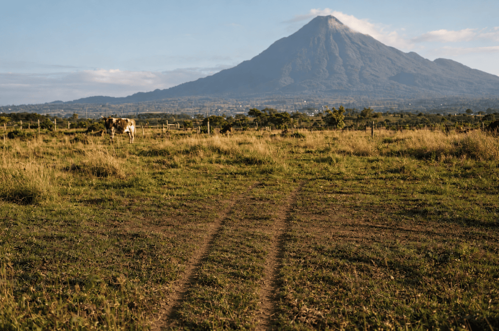 Potrero rural bajo el volcán Chaparrastique, en El Salvador, con ganado pastando y sutiles huellas de una silla de ruedas sobre la tierra.